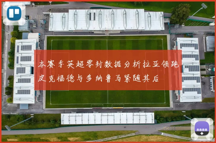 本赛季英超零封数据分析拉亚领跑皮克福德与多纳鲁马紧随其后