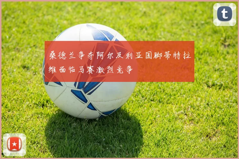 桑德兰争夺阿尔及利亚国脚蒂特拉维面临马赛激烈竞争
